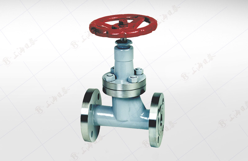 Liquefied Gas Globe Valve