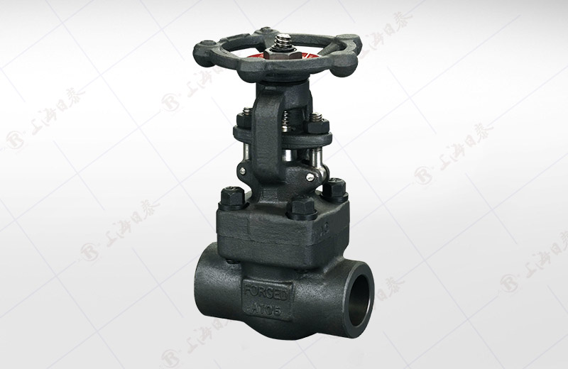 Forged Female Threaded, SW Gate Valve