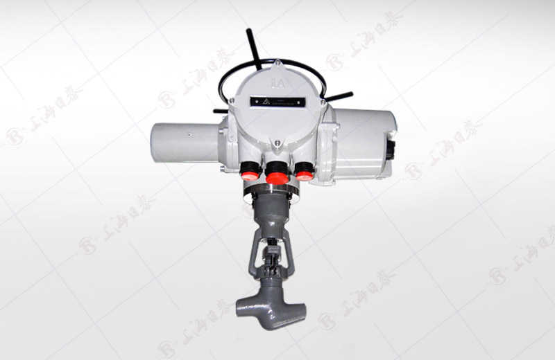 Electric Power Station High Temp.& Pressure Globe Valve